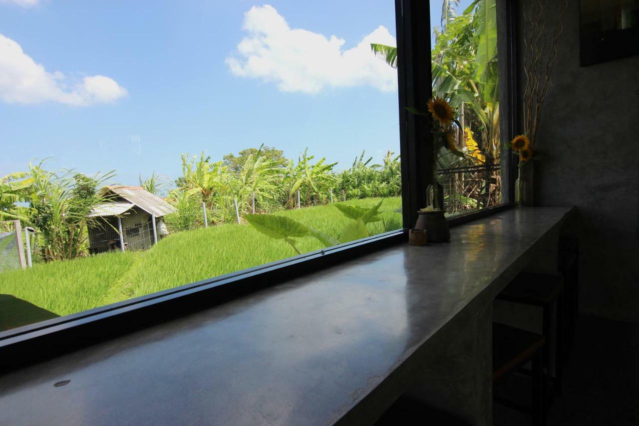 De Vir House Apartment Canggu  Exterior photo